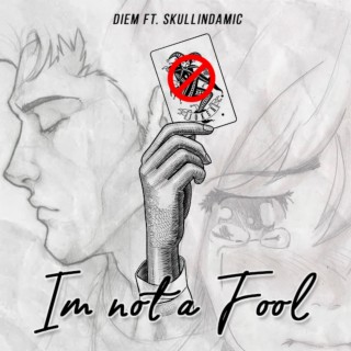 Im not a fool ft. Skullindamic lyrics | Boomplay Music