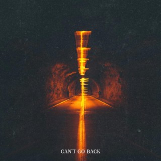 Can't Go Back lyrics | Boomplay Music