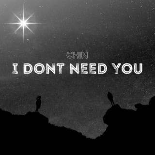 I Dont Need You