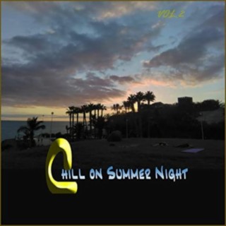 Chill on summer night,Vol2