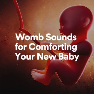 Womb Sounds for Comforting Your New Baby