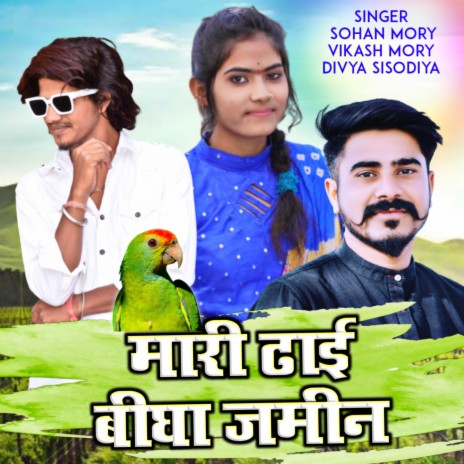 Mari Dhai Bigha Jamin (feat. Sohan Mory, Vikash Mory & Divya Sisodiya) | Boomplay Music