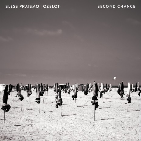 Second Chance ft. Ozelot | Boomplay Music