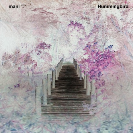 Hummingbird | Boomplay Music