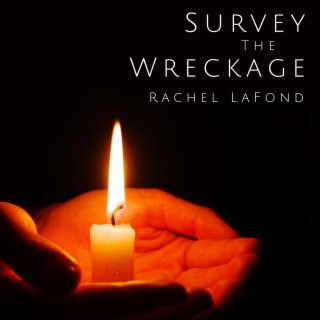 Survey the Wreckage