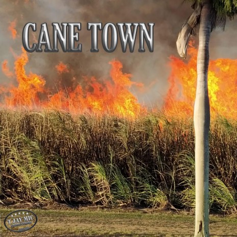 Cane Town | Boomplay Music