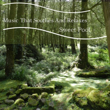 Soothing Sounds for Peace | Boomplay Music