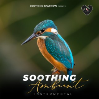 Soothing Ambient (Instrumental)