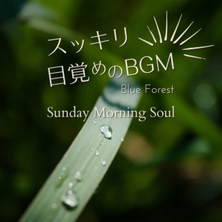 すっきり目覚めのBGM - Sunday Morning Soul