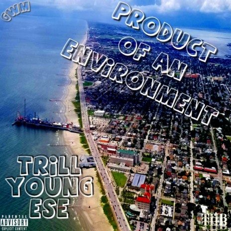 Product of an Environment | Boomplay Music