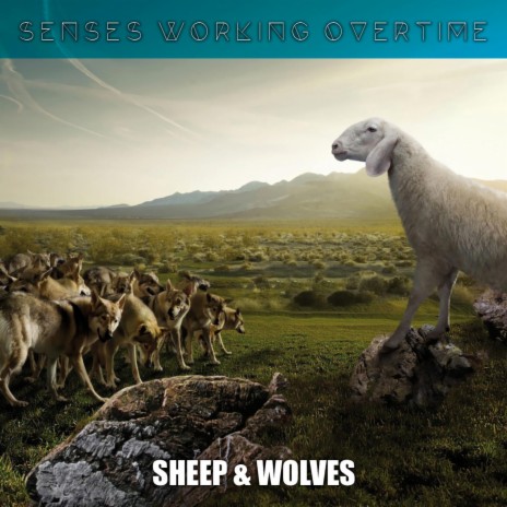 Sheep & Wolves