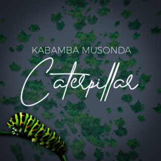 Caterpillar lyrics | Boomplay Music