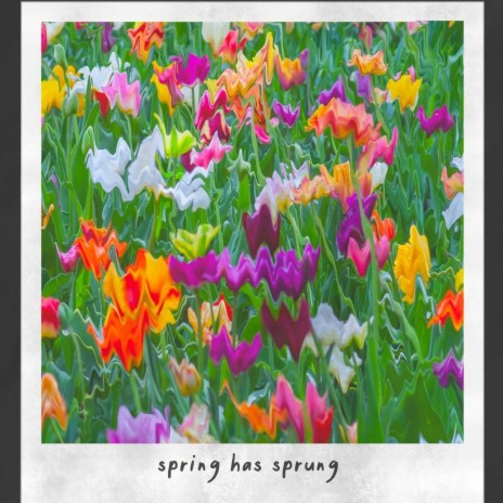 spring has sprung | Boomplay Music