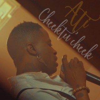 Cheek Tu Cheek lyrics | Boomplay Music