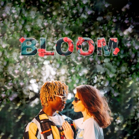 Bloom | Boomplay Music