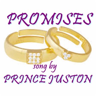 Promises lyrics | Boomplay Music