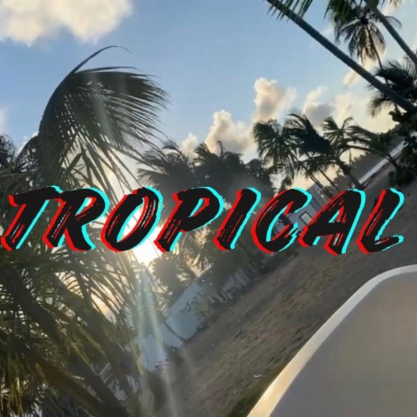 Reggaeton Tropical | Boomplay Music