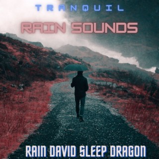 Tranquil Rain Sounds