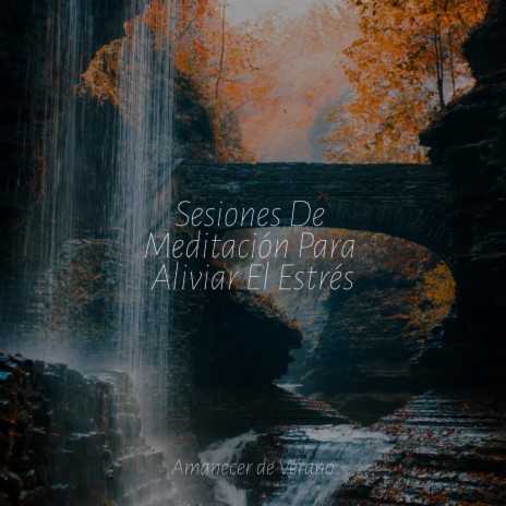 La quietud del caos ft. Relaxing Music & Musica para Meditar | Boomplay Music