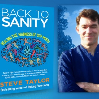 LF19 Steve Taylor – Back to Sanity: Healing the Madness of Our Minds