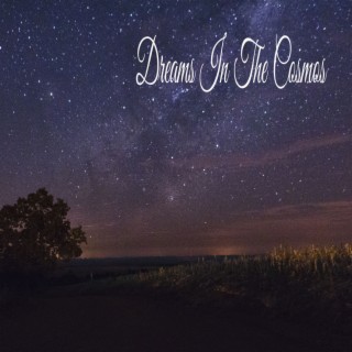Dreams In The Cosmos
