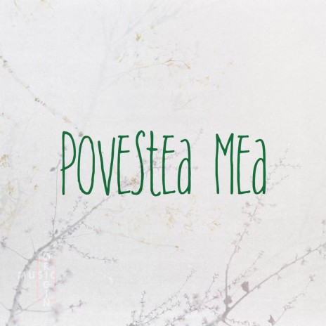 Povestea Mea | Boomplay Music