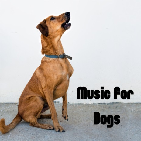 Tired Dog ft. Music For Dogs Peace, Relaxing Puppy Music & Calm Pets Music Academy | Boomplay Music