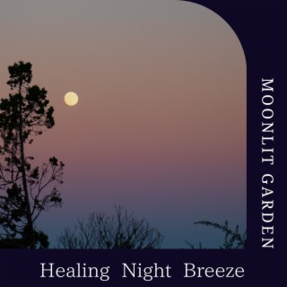 Healing Night Breeze