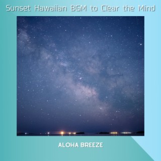 Sunset Hawaiian Bgm to Clear the Mind