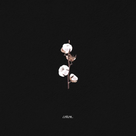 cotton. | Boomplay Music