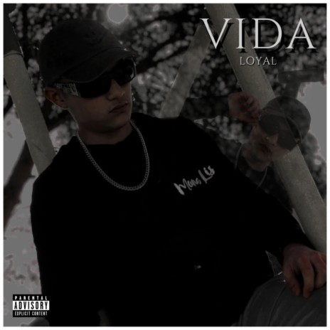 Vida | Boomplay Music