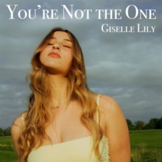 You're Not The One lyrics | Boomplay Music