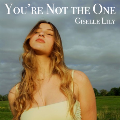 You're Not The One | Boomplay Music