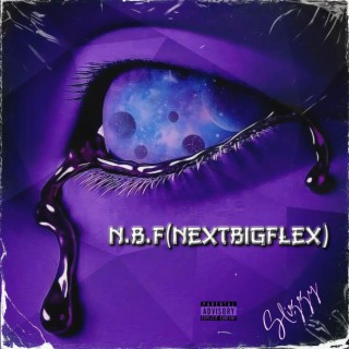 N.B.F (NextBigFlex)