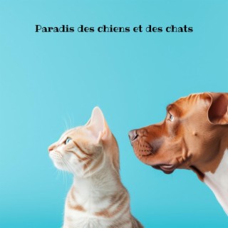 Paradis des chiens et des chats : musique thérapeutique relaxante pour des animaux heureux