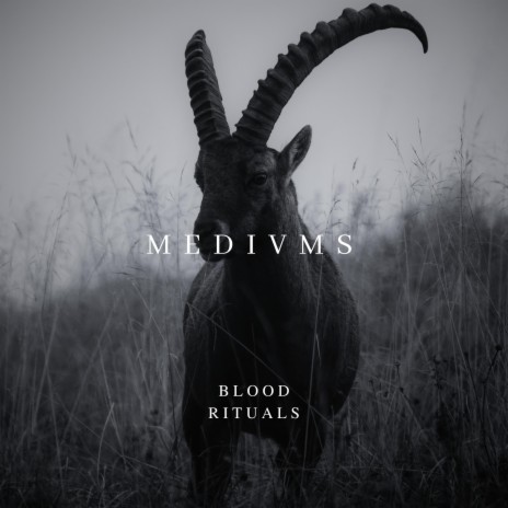 Blood Rituals | Boomplay Music