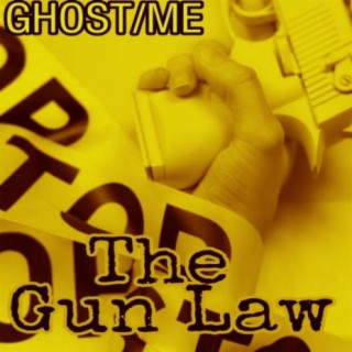 The Gun Law