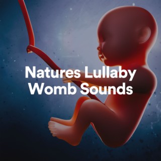 Natures Lullaby Womb Sounds