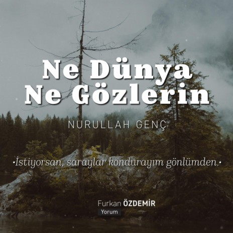 Ne Dünya Ne Gözlerin | Boomplay Music