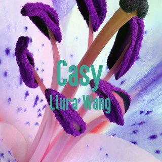 Casy