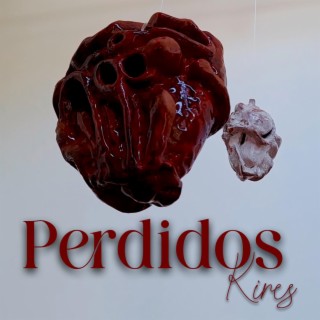 Perdidos lyrics | Boomplay Music