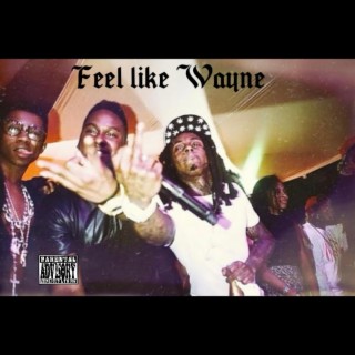 Feel Like Wayne