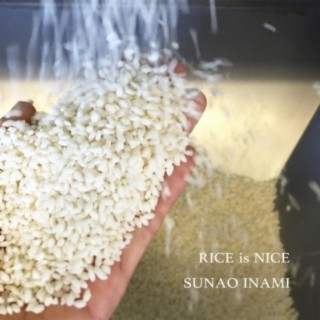 RICE is NICE