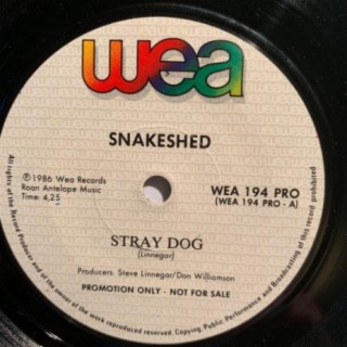 Stray Dog/Cha Cha Blue