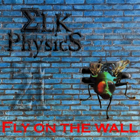 Fly on the wall | Boomplay Music