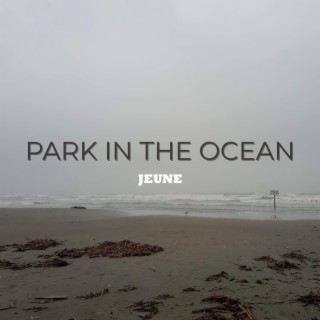 Park In The Ocean lyrics | Boomplay Music