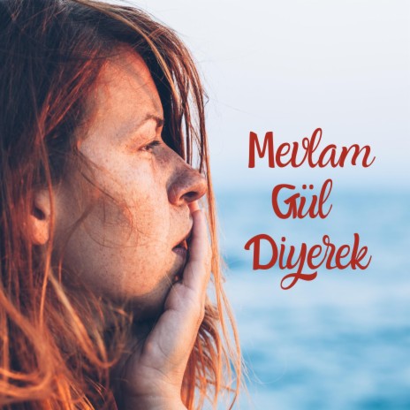 Mevlam Gül Diyerek | Boomplay Music