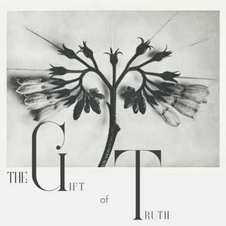 The Gift Of Truth | Boomplay Music