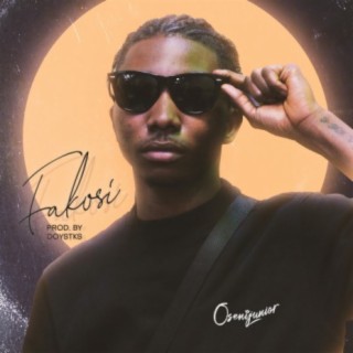 Fakosi lyrics | Boomplay Music