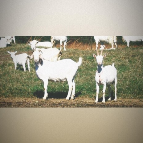 goat onna farm (feat. t crews) | Boomplay Music